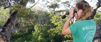 A Projects Abroad volunteer searches for birds in Peru. A rainforest conservation group volunteer searches for birds on a trip to Peru.